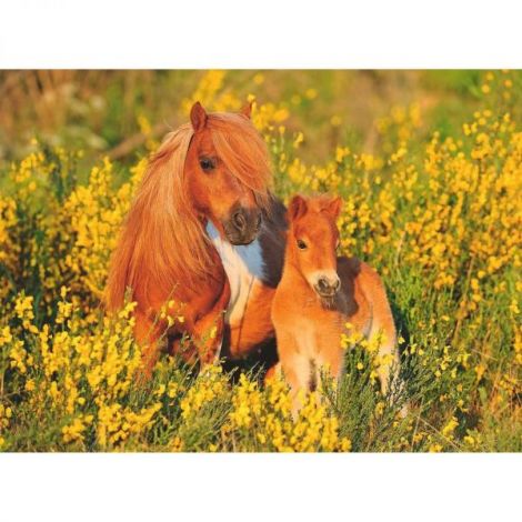 Puzzle Ponei, 100 Piese - poza 1