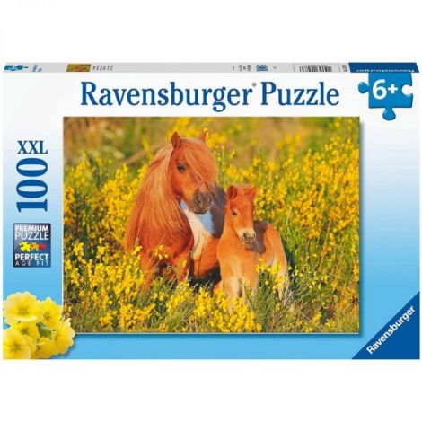 Puzzle Ponei, 100 Piese - poza 2