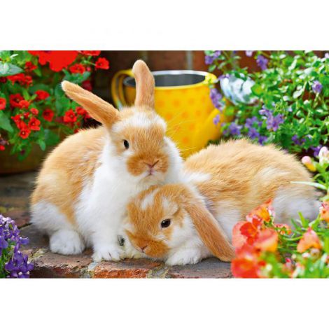 PUZZLE PORCUSOR DE GUINEA SI IEPURAS, 2x12 PIESE - poza 2