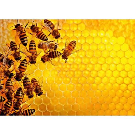 Puzzle Provocare Albine Si Fagure, 1000 Piese - poza 1