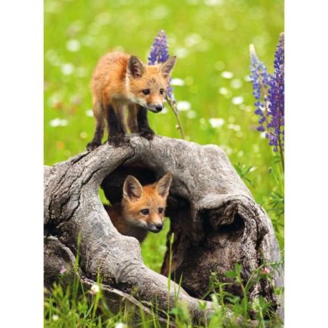 Puzzle pui de vulpe 300 piese - poza 1