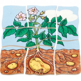 Puzzle stratificat Cartoful - poza 5