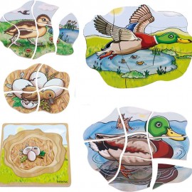 Puzzle stratificat Rata - poza 2