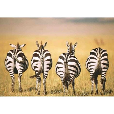 Puzzle Zebre In Savana, 300 Piese - poza 1