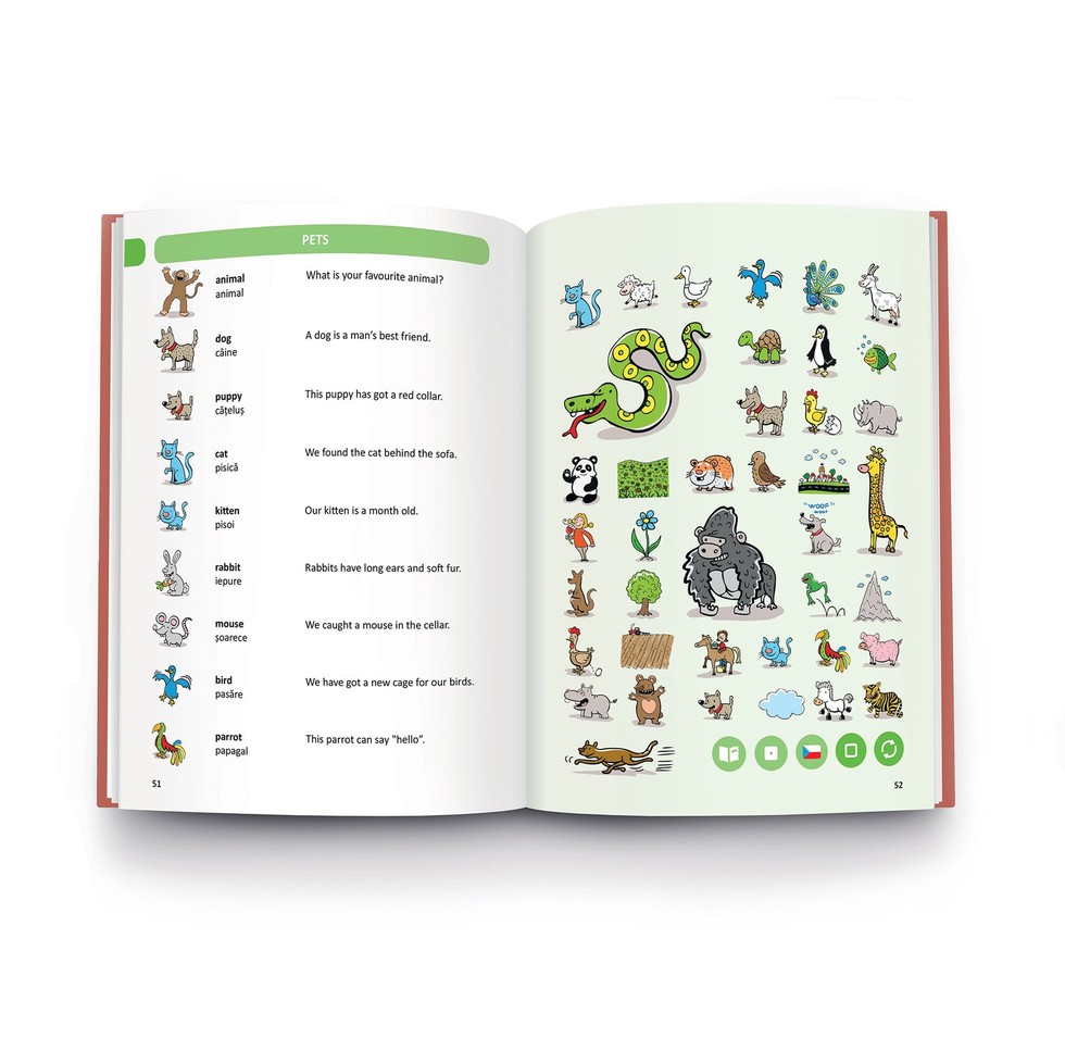 Raspundel Istetel Dictionar Roman-Englez - poza 4