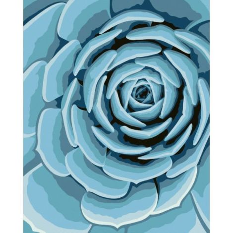 Ravensburger - CreArt pictura pe numere pentru adulti planta suculenta albastra - poza 3