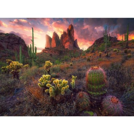 Ravensburger - Puzzle cactusi 500 piese - poza 3