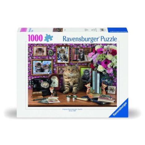Ravensburger - Puzzle pisicuta draguta 1000 piese design nou - poza 1