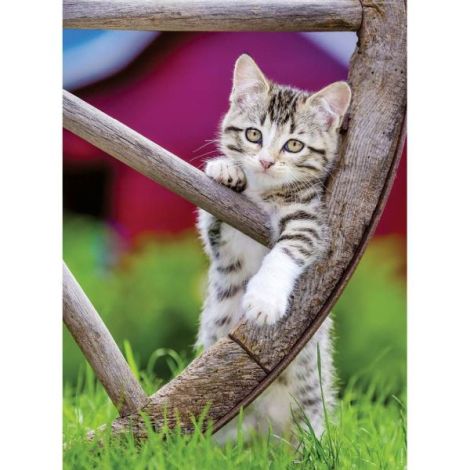 Ravensburger - Puzzle pisicute 2x500 piese - poza 2