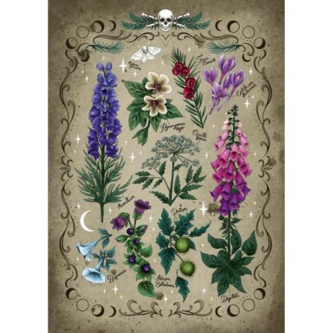 Ravensburger - Puzzle plante otravitoare 1000 piese - poza 1