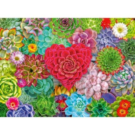 Ravensburger - Puzzle plante suculente 500 piese - poza 3