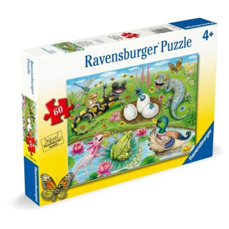 Ravensburger - Puzzle puiuti care ies din oua 60 piese - poza 2