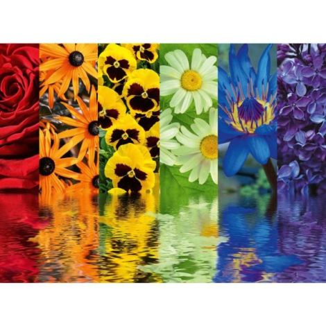 Ravensburger - Puzzle reflexia florilor 500 piese design nou - poza 1