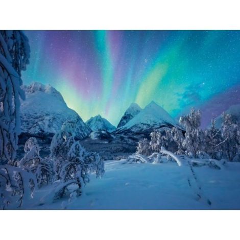 Ravensburger - Puzzle spectacol arctic 1500 piese - poza 1