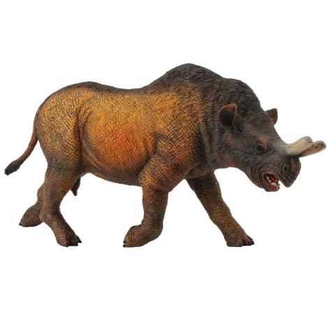 Rinocerul Preistoric- Collecta