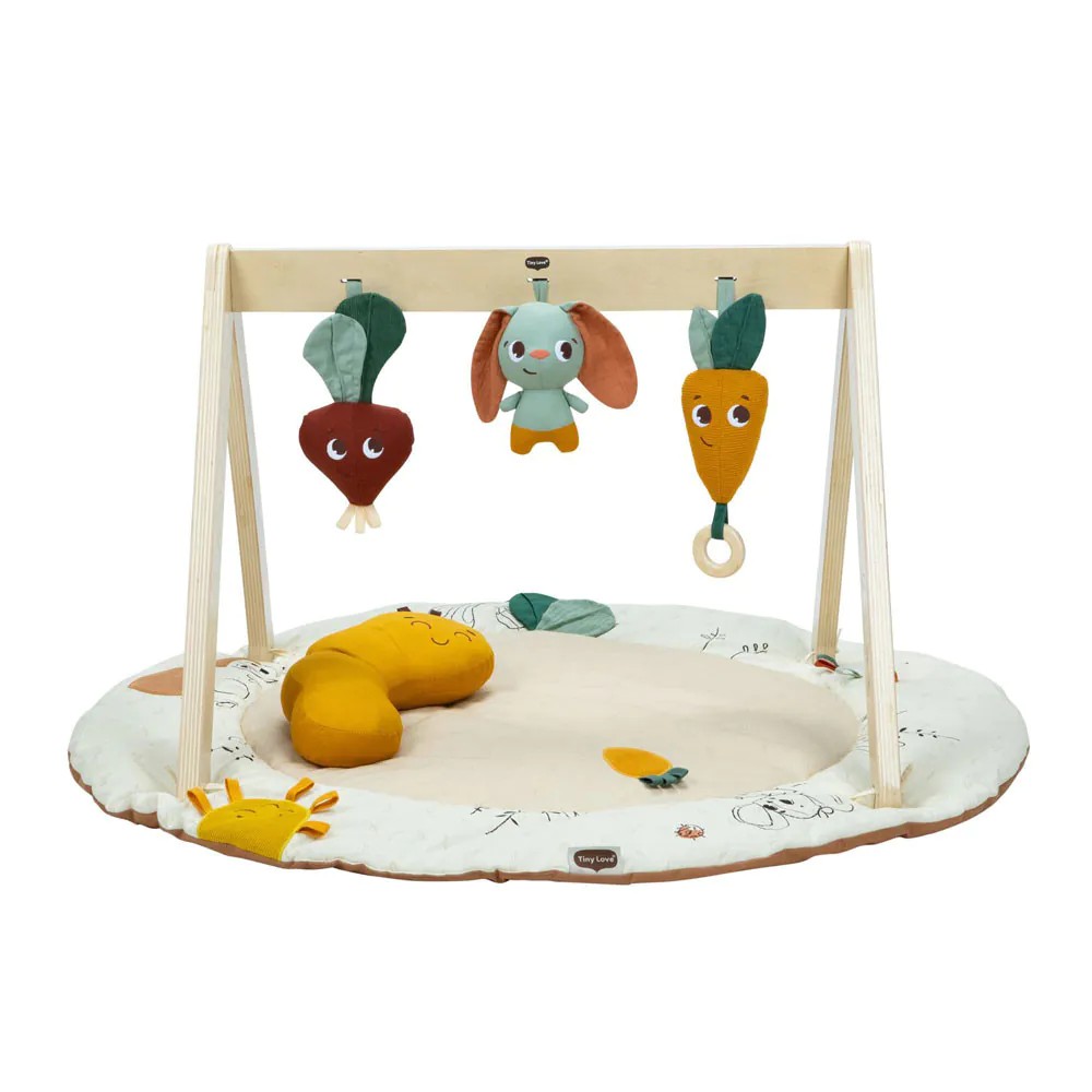 Salteluta de activitati cu arcada din lemn Tiny Love Garden Of Adventures 0 luni + - poza 1