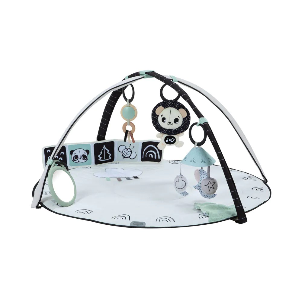 Salteluta de activitati Tiny Love Black and White Decor - poza 1