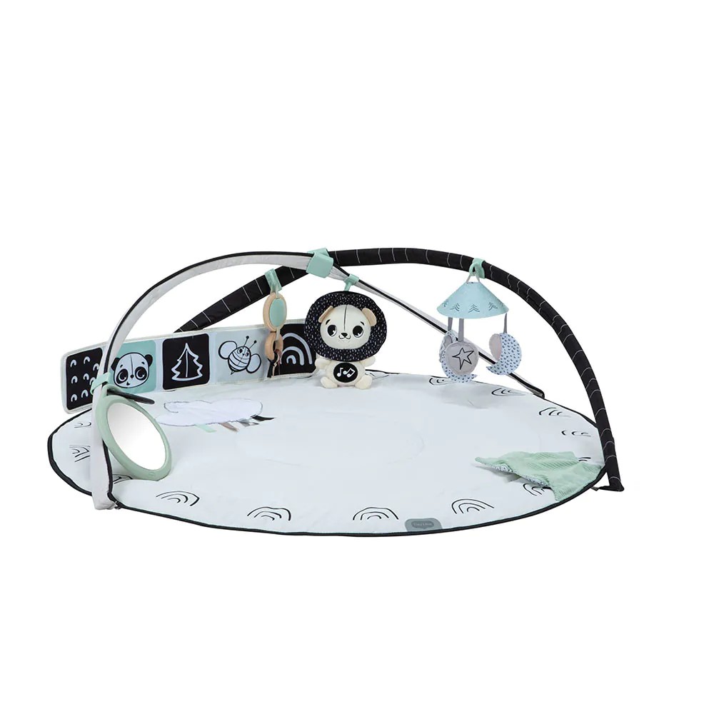 Salteluta de activitati Tiny Love Black and White Decor - poza 2