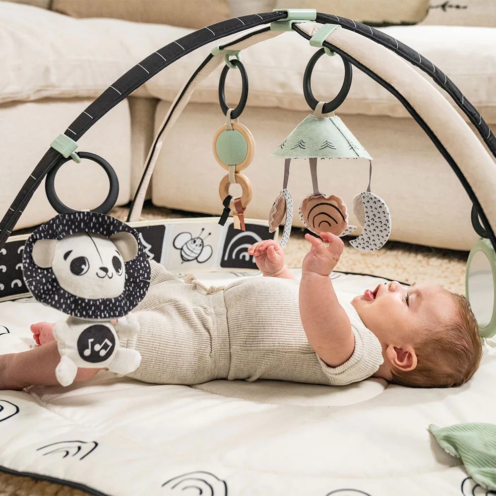 Salteluta de activitati Tiny Love Black and White Decor - poza 5