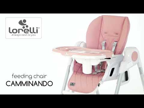 Scaun de masa Lorelli Camminando 2021 Gri-Verde Eco Leather - poza 2