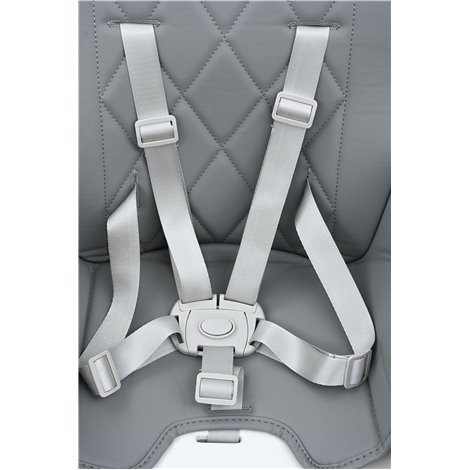 Scaun de masa pentru bebelusi Nordic, centura cu prindere in 5 puncte, reglabil inaltime, tava detasabila, ideal pentru cresa - poza 2