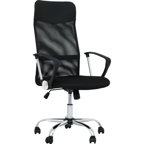 Scaun ergonomic rotativ de birou, spatar plasa, negru - poza 1