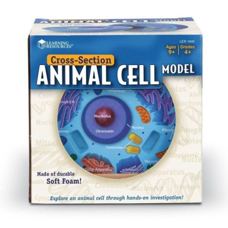 Sectiunea celulei animale - poza 4