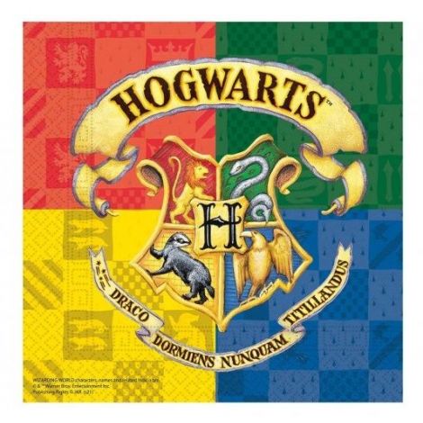 Servetele petrecere harry potter 33x33 cm - poza 1