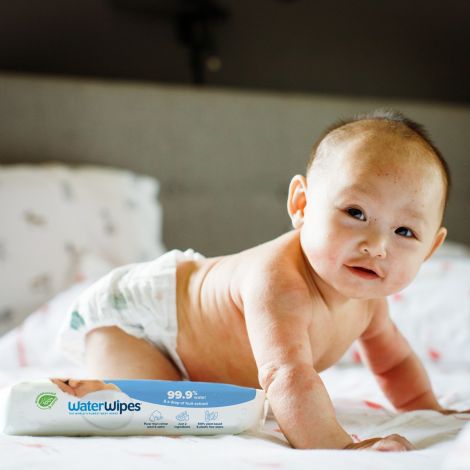 Servetele umede Biodegradabile Water Wipes, 4 pachete x 60 buc, 240 buc - poza 2