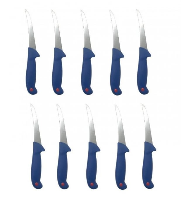Set 10 Cutite Profesionale pentru Dezosat