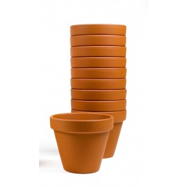 Set 10 ghivece lut 5 cm - poza 1