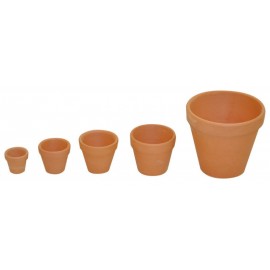 Set 10 ghivece lut 5 cm - poza 2