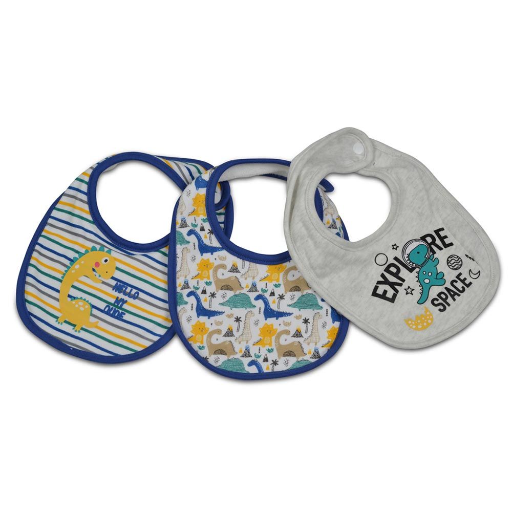 Set 3 bavete pentru bebelusi Cangaroo Blue Pink - poza 2