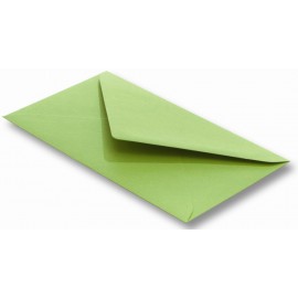 Set 5 felicitari cu plic si insert verde crud - poza 4