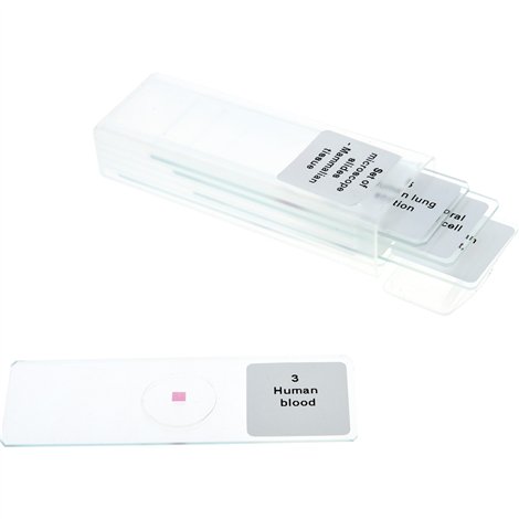 Set 5 lamele cu preparate microscopice, Tipuri de tesuturi mamifere, 7,6 x 2,5 x 0,1 cm, uz didactic