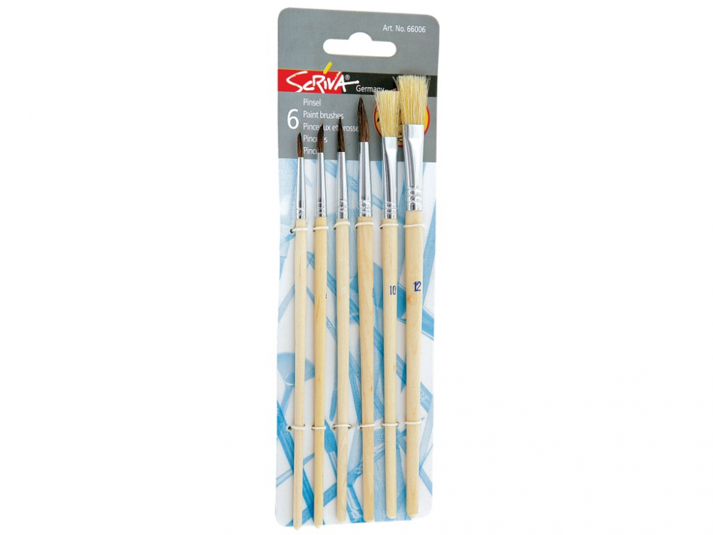 Set 6 pensule cu maner din lemn si par natural