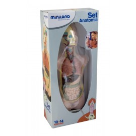 Set Anatomia Umana 50 cm - poza 2