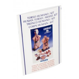 Set Anatomia Umana 50 cm - poza 3