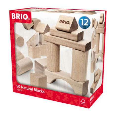 Set blocuri din lemn 50 piese 30113 Brio - poza 1