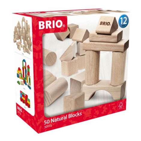 Set blocuri din lemn 50 piese 30113 Brio - poza 2