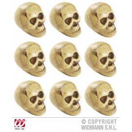 Set capete schelet - poza 1