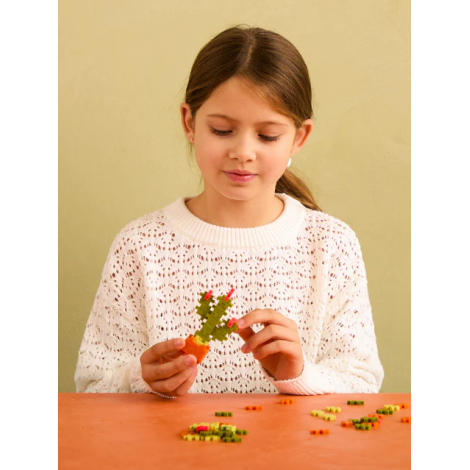 Set constructie Plus-Plus, PLANTE - Cactus - poza 4