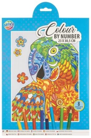 Set creativ, Coloreaza pe numere, A4, 8 creioane colorate, papagal, Moxy