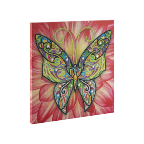 Set creativ cu strasuri, Diamond paint, Canvas Fluture - poza 2