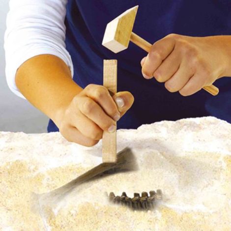Set creativ Dino si excavarea scheletului 2 in 1 - Stegozaur - poza 3