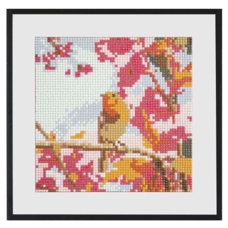 Set creativ pictura cu diamante, Diamond painting, pasari, Craft Sensations - poza 4