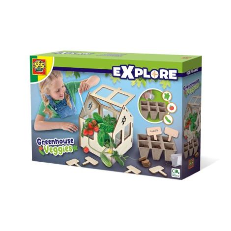 Set creativ - Sera de legume - poza 1