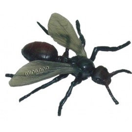 Set de 12 figurine Insecte - Miniland - poza 5