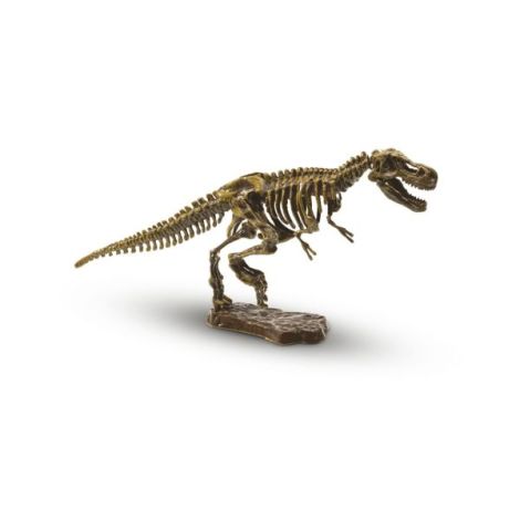 Set de arheologie pentru copii cu dinozaur - poza 2