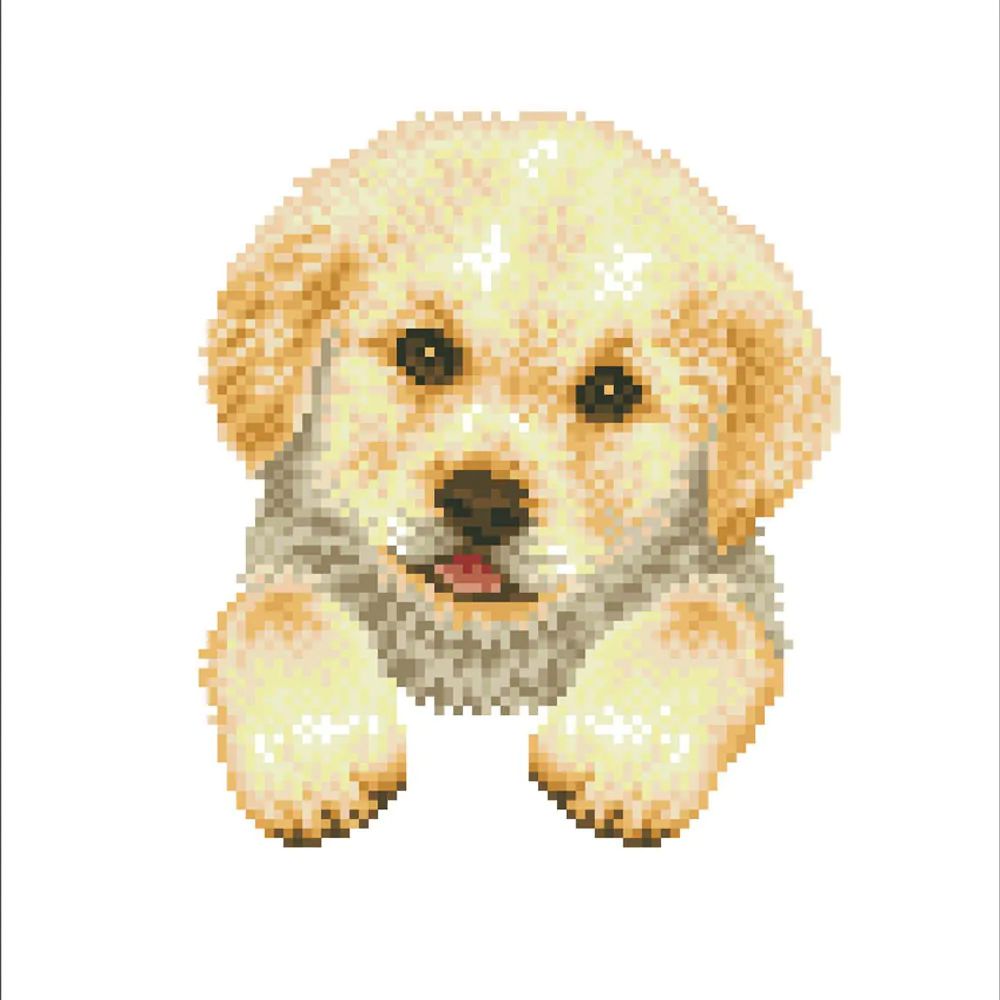 Set de creatie mozaic Diamond dotz Pup In Pot - poza 3